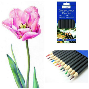 12 Watercolour Artist Pencils For Drawing Painting Sketching Art Water Colour UK