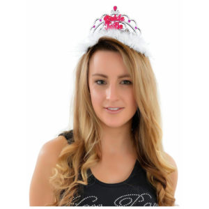 Bride To Be Tiara & Veil Hen Party Do Girls Night Out Accessories Wedding