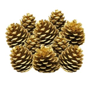 1kg - Gold Colour Xmas Pine Cones Christmas Craft UK