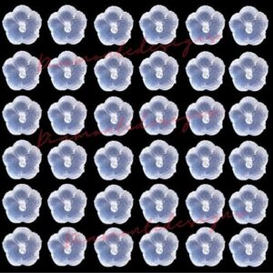 4mm Rubber Flower Shape Earring Backs Stoppers Clear Findings Kids Stopper