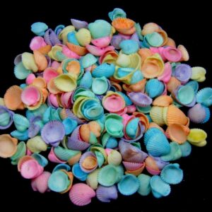 Pastel Dyed Cockle Seashells Beach Shells Wedding Display Craft Aquarium Sea UK